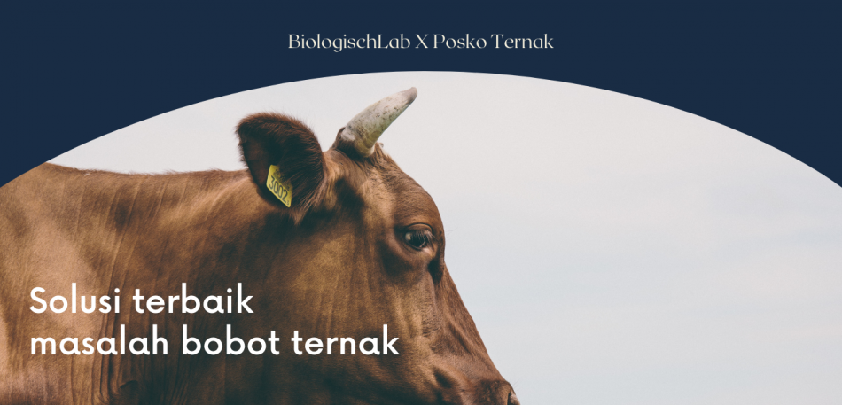 BiologischLab X Posko Ternak (2)